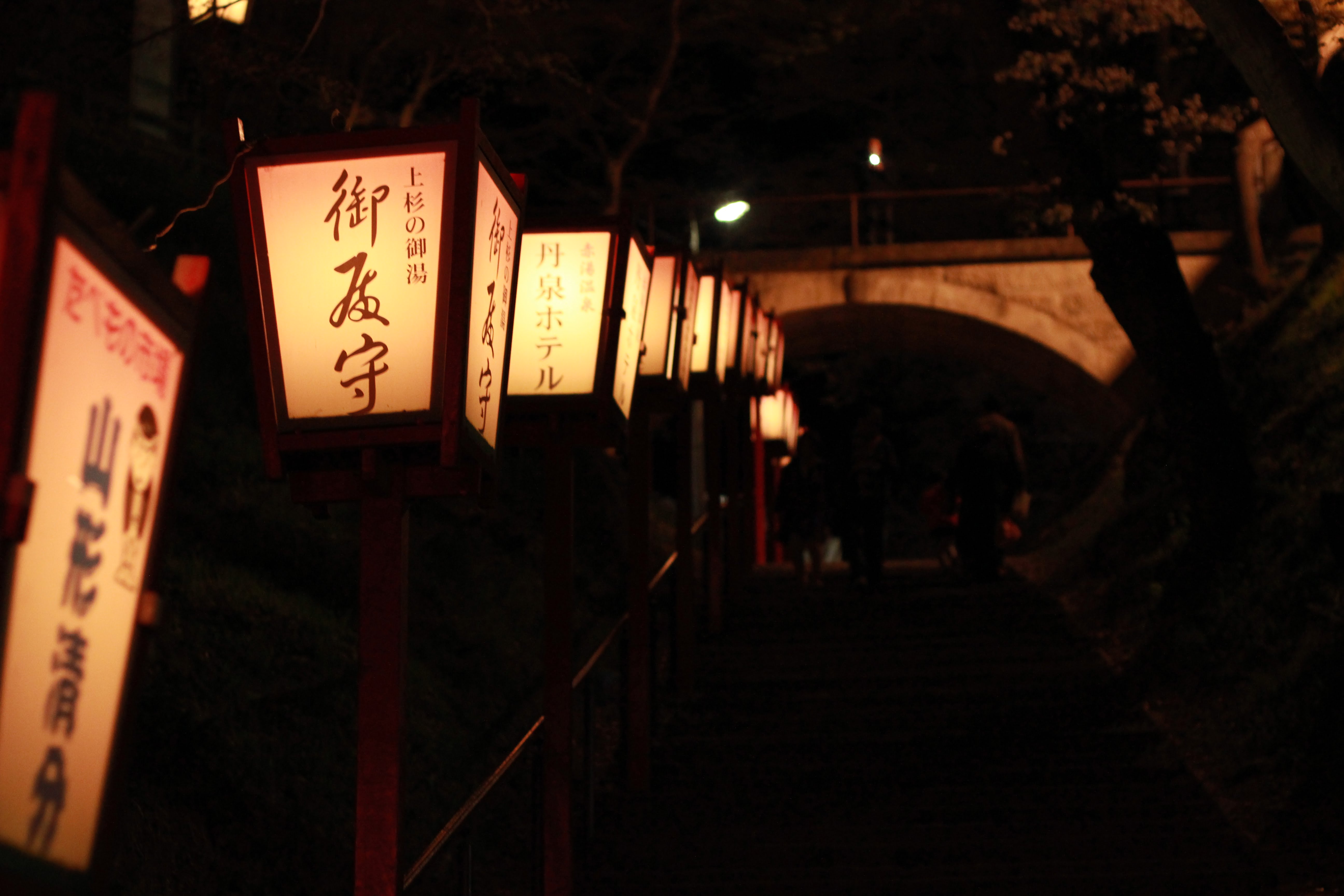 烏帽子山公園千本桜の夜の様子
