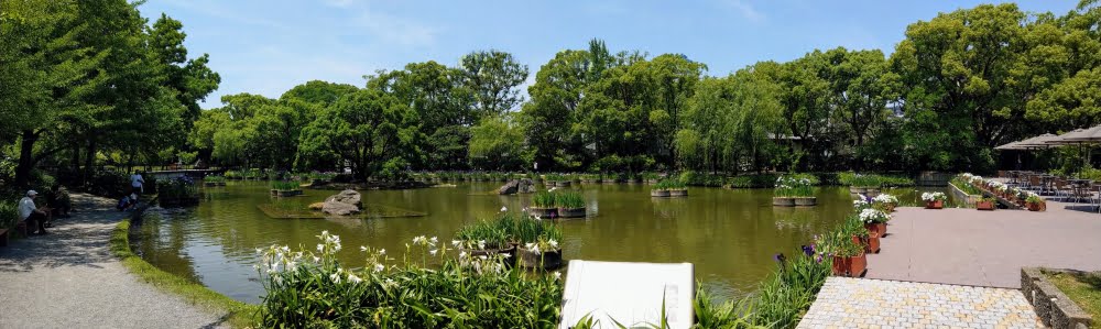 石橋文化センターの水辺