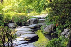 石橋文化センターの水辺
