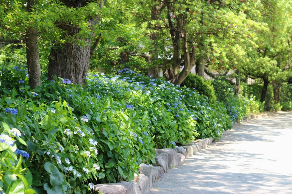 石橋文化センター