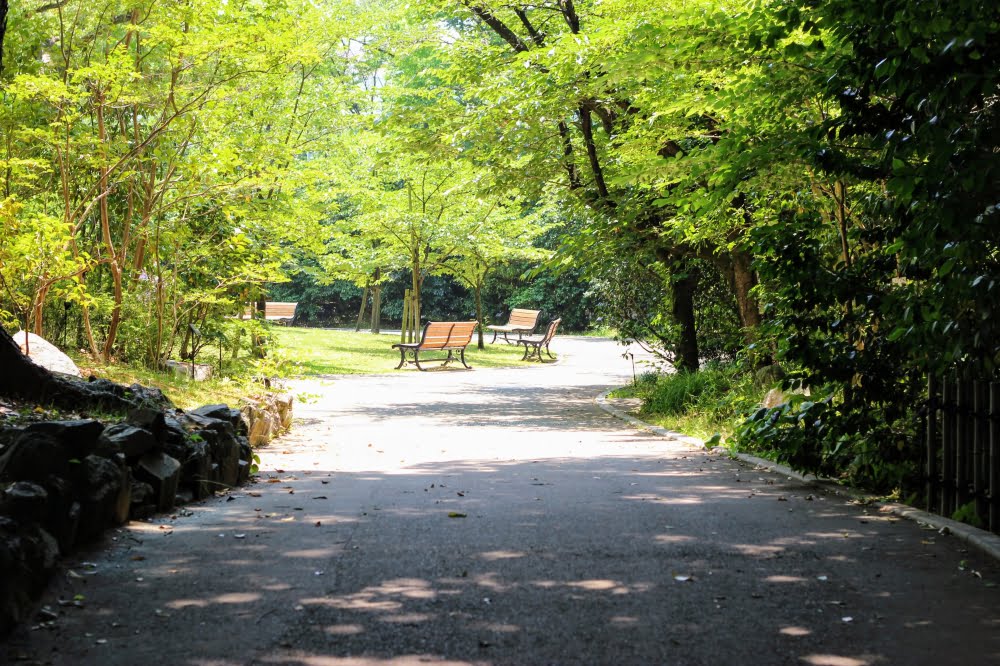 石橋文化センター