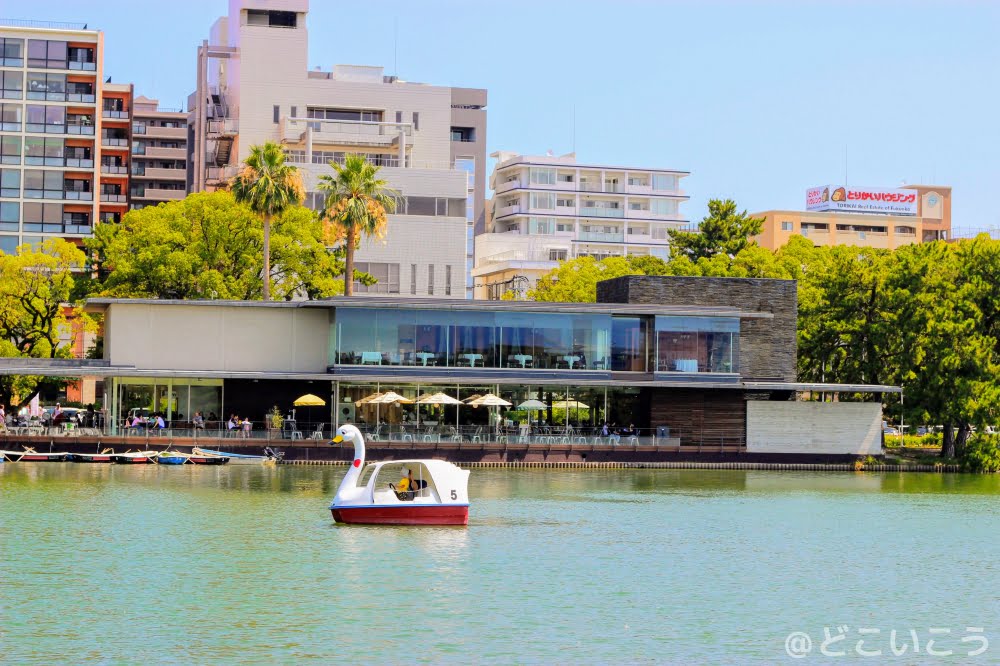 ロイヤル ガーデン カフェ 大濠公園