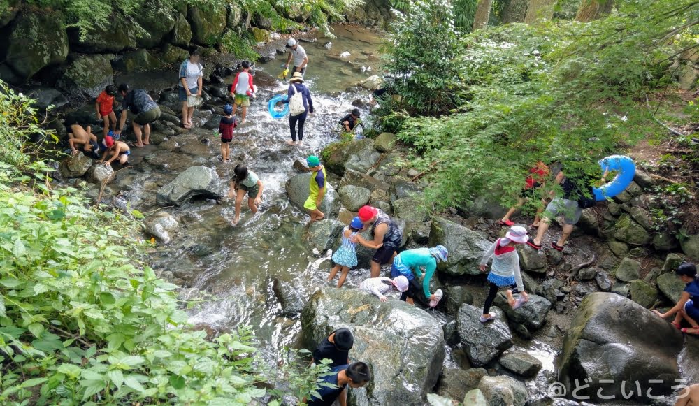 夏休みの調音の滝公園