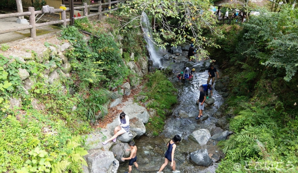 夏休みの調音の滝公園