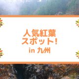 人気紅葉スポット