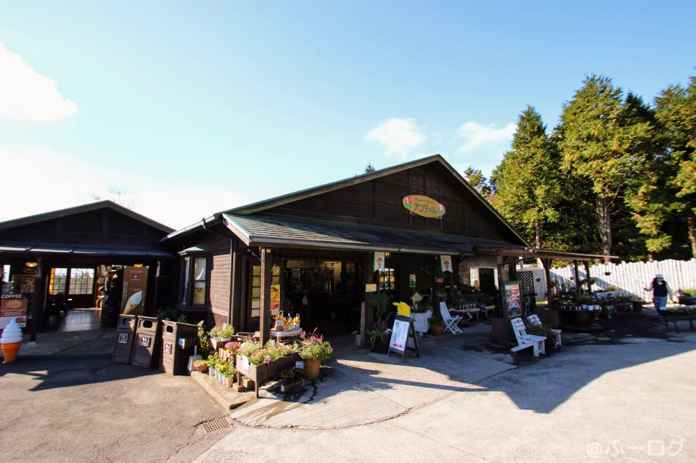 くじゅう花公園