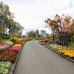 くじゅう花公園