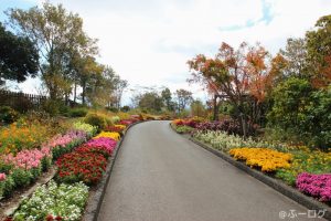 くじゅう花公園