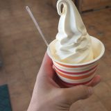 ガンジーファーム