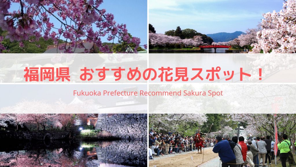 福岡県おすすめの花見スポットまとめ！