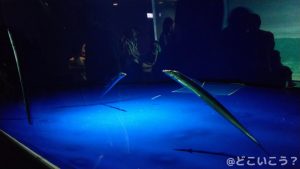 マリンワールド海の中道