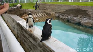 マリンワールド海の中道