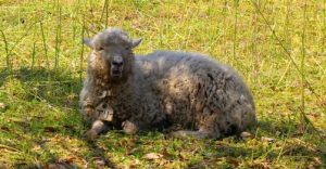 海の中道海浜公園