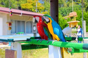 海の中道海浜公園