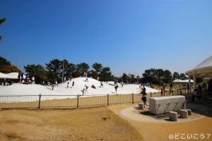海の中道海浜公園