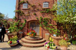 海の中道海浜公園