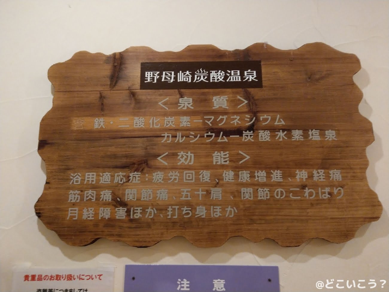 野母崎炭酸温泉