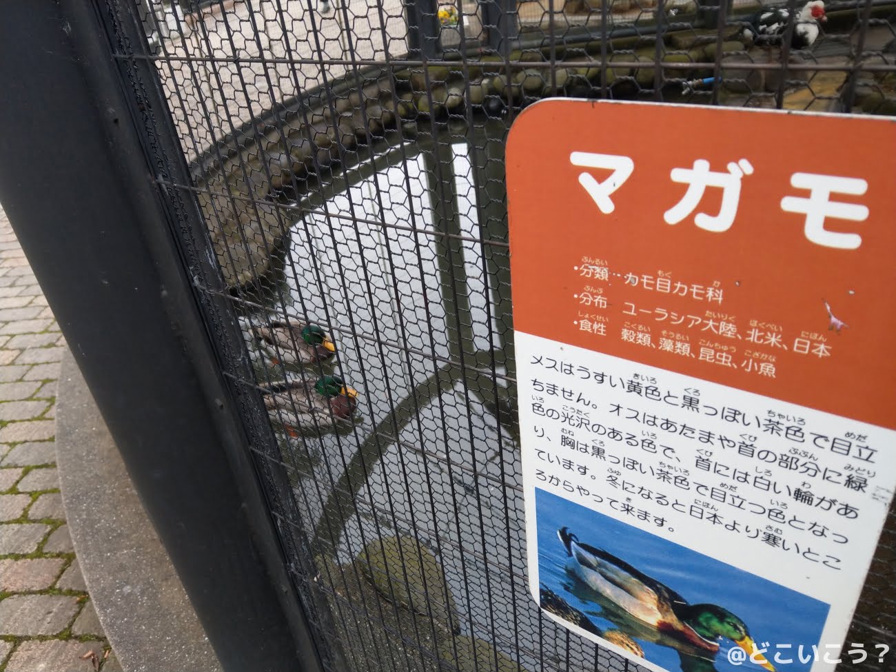 長崎どうぶつひろば