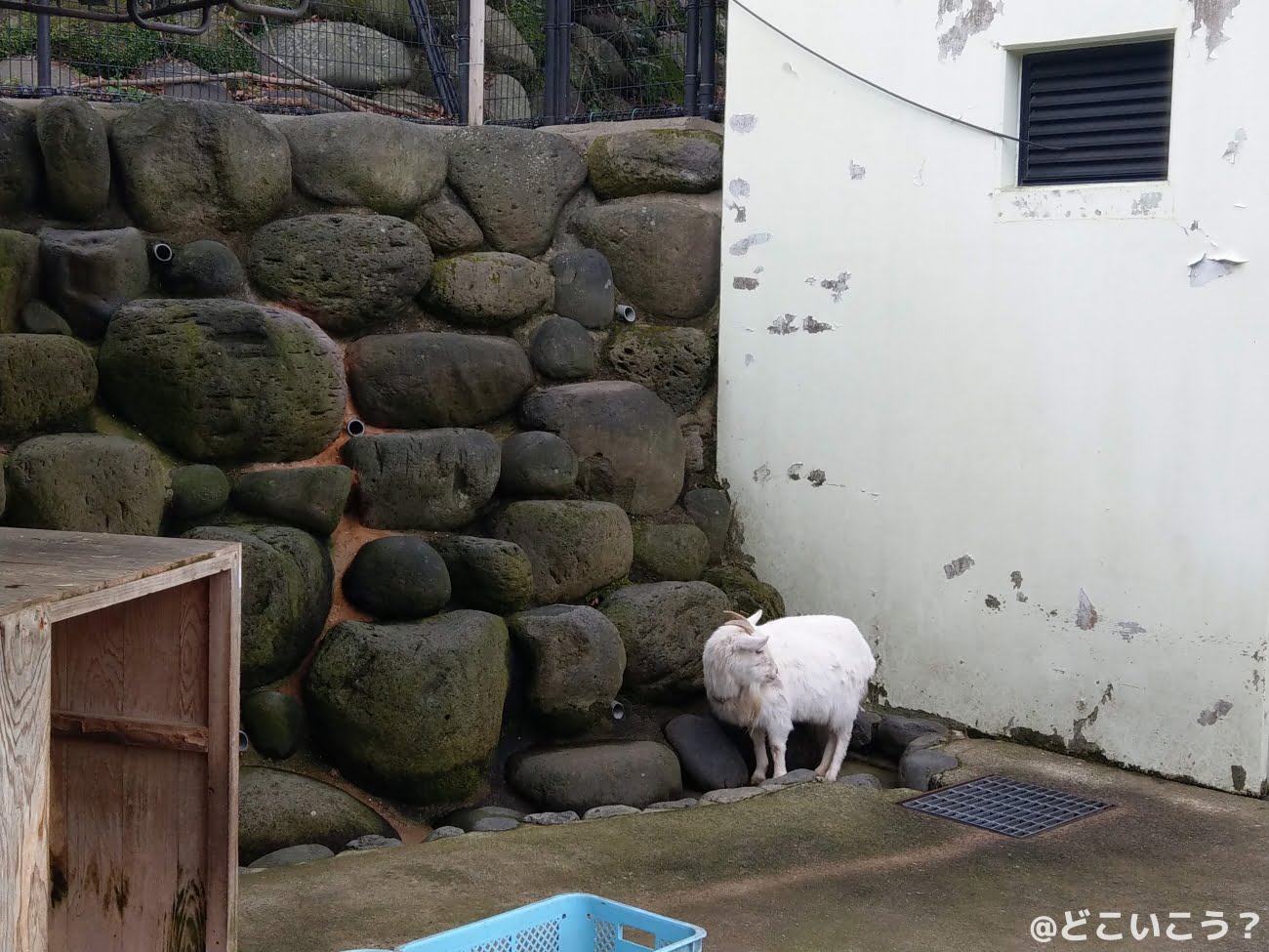 長崎どうぶつひろば