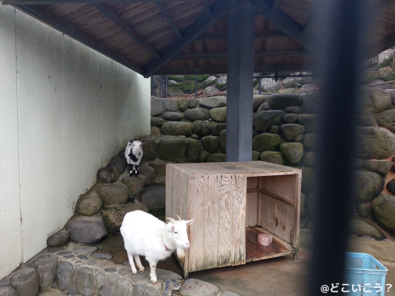 長崎どうぶつひろば