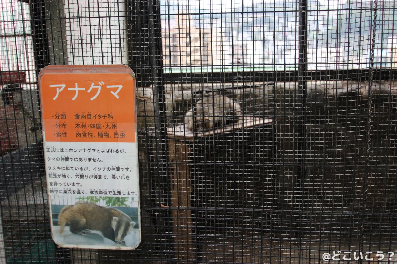 長崎どうぶつひろば