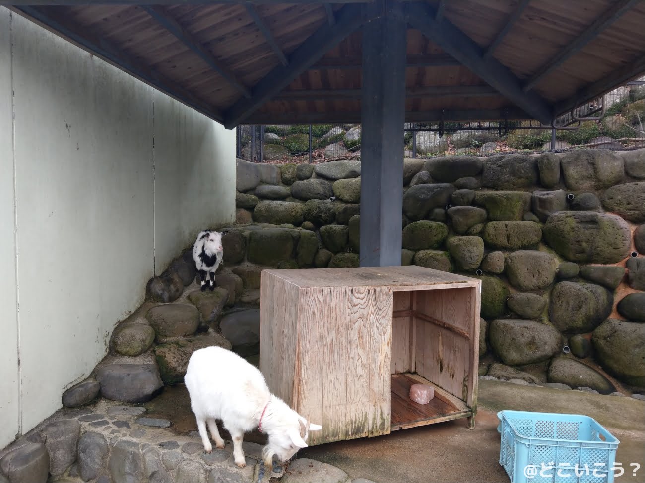 長崎どうぶつひろば