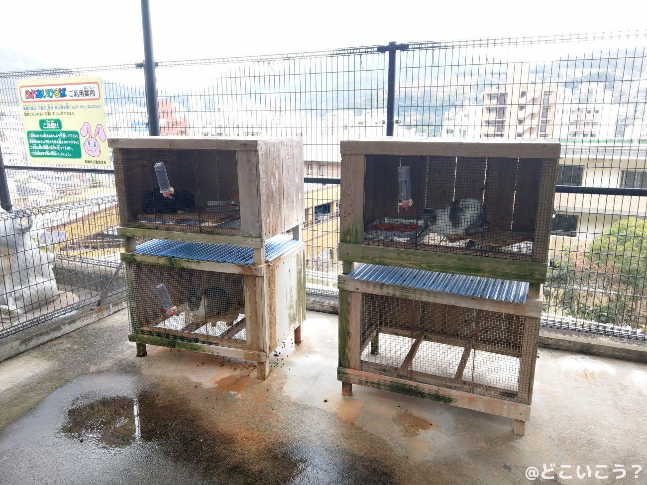 長崎どうぶつひろば