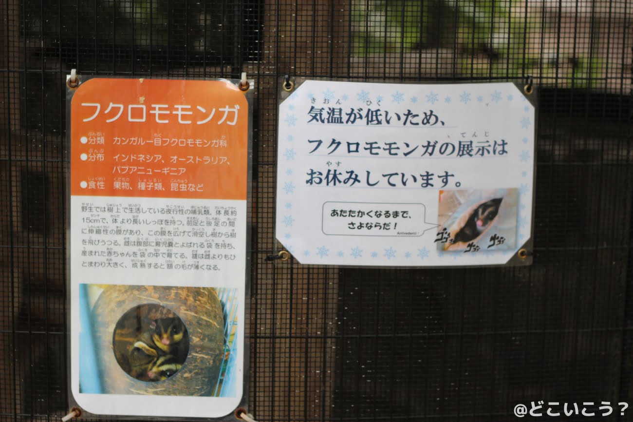 長崎どうぶつひろば