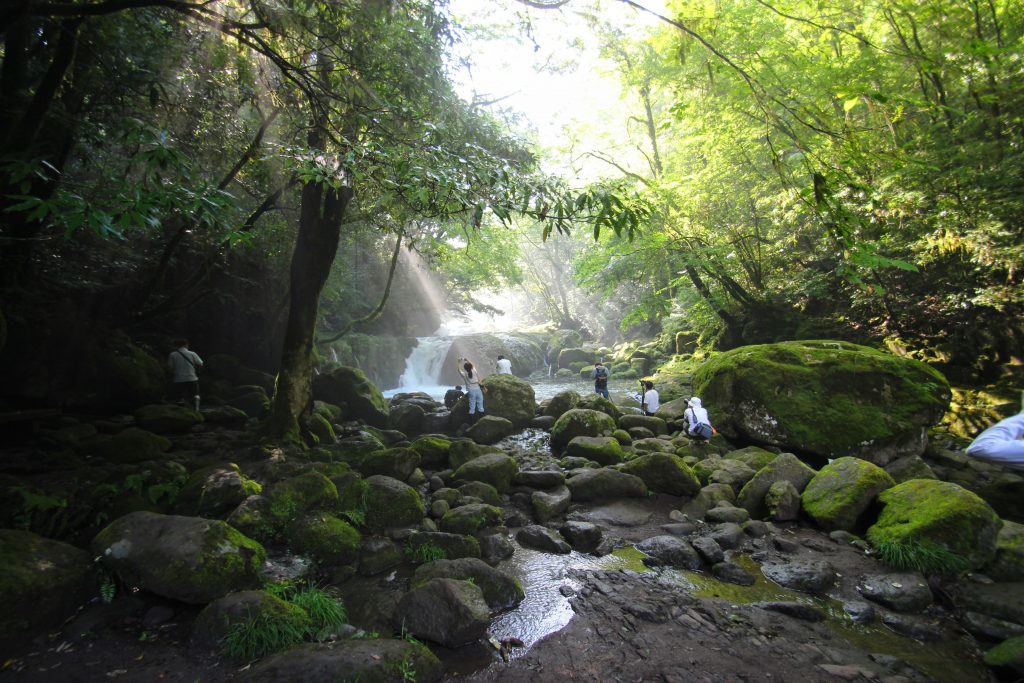 菊池渓谷