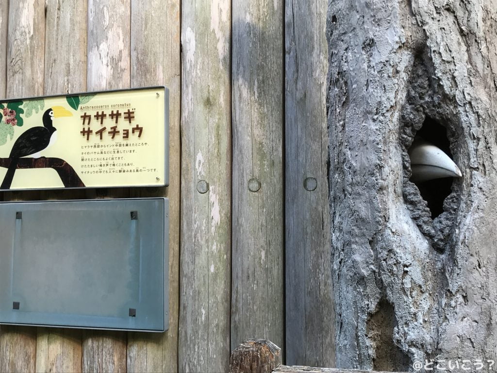 福岡市動物園