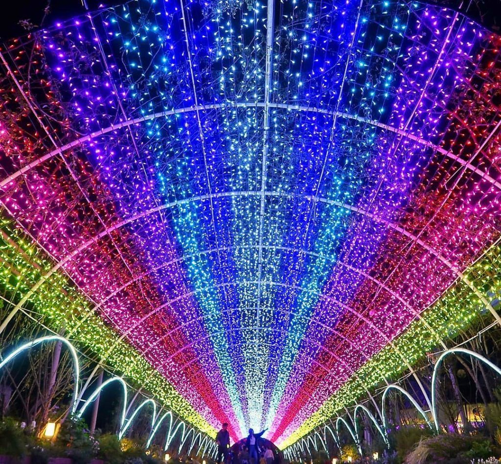 かしイルミえん～光の楽園～